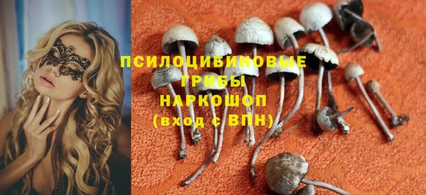 прущие грибы Вяземский