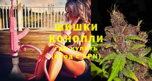 дживик Вязьма