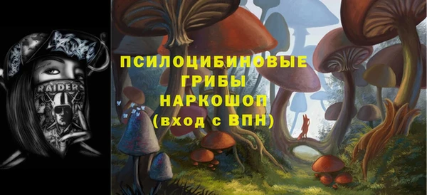 ешки Горняк