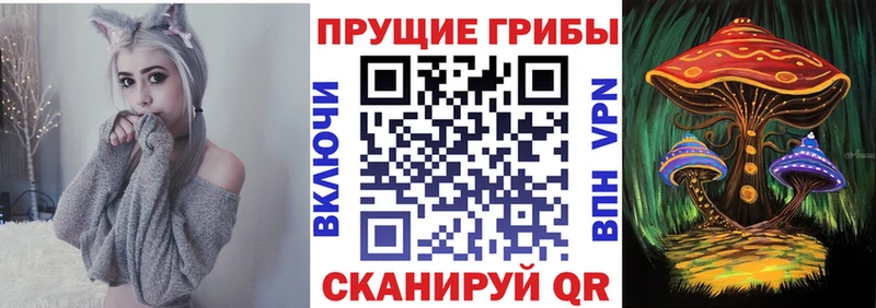 как найти наркотики  Артём  Псилоцибиновые грибы мухоморы 